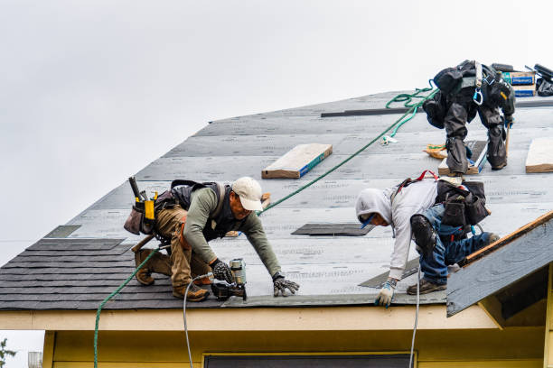 Professional Gutter Installation technician working in Pinnacle, NC